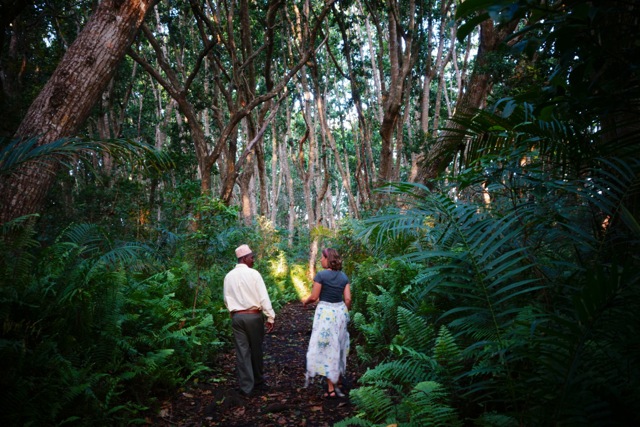 Jozani National Park, Zanzibar