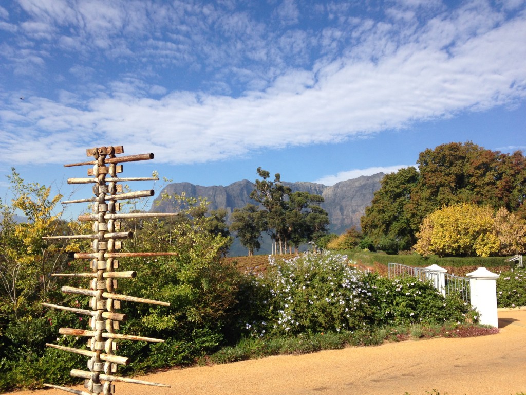 Tokara, Stellenbosch, Cape Winelands