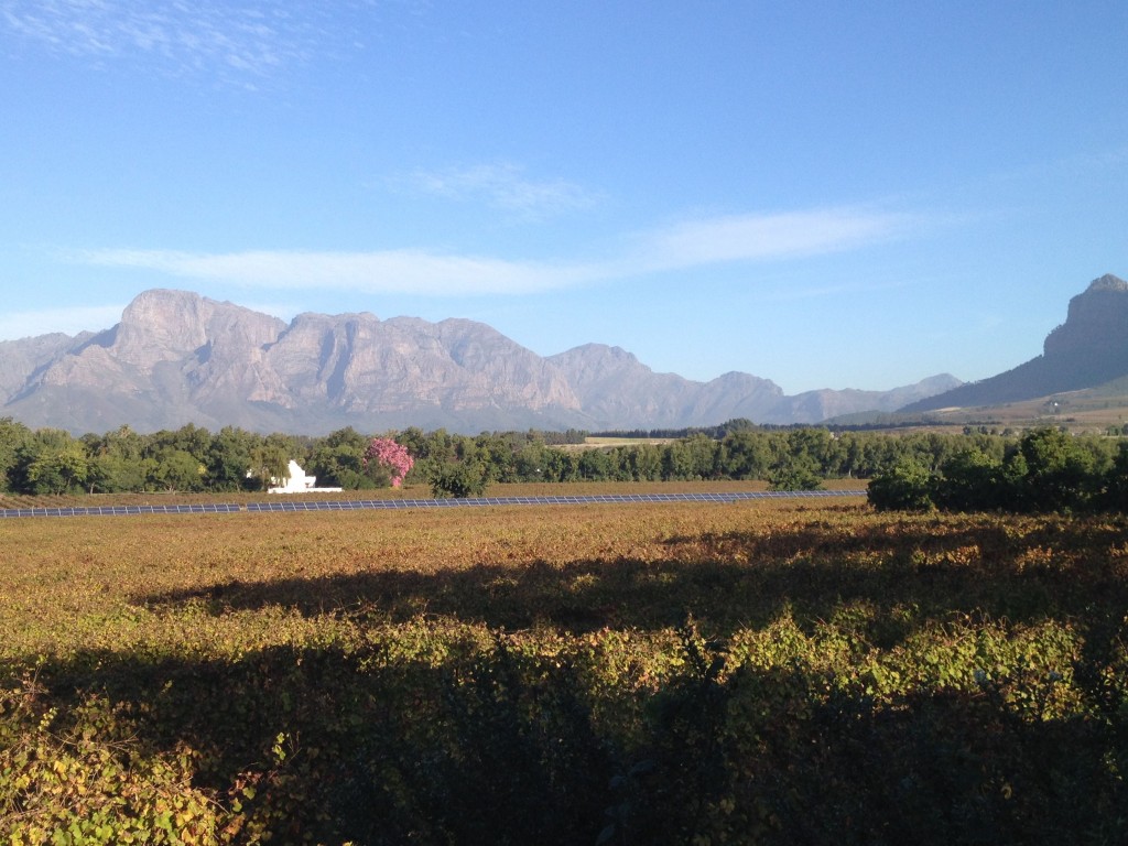 Vrede en Lust, Stellenbosch, Cape Winelands