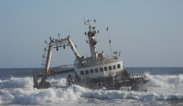 Seals, Skeletons, & Swakopmund