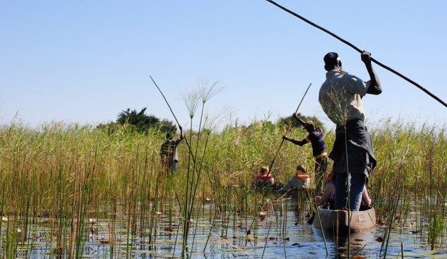 Poling Across the Okavango Delta