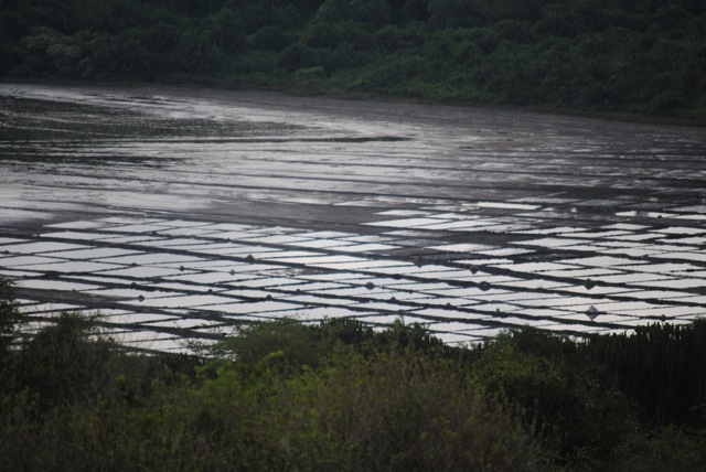 Salt, Queen Elizabeth National Park, Uganda