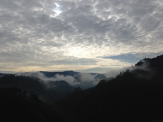 Bwindi Impenetrable National Park, Uganda