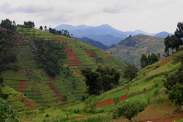 Rwanda