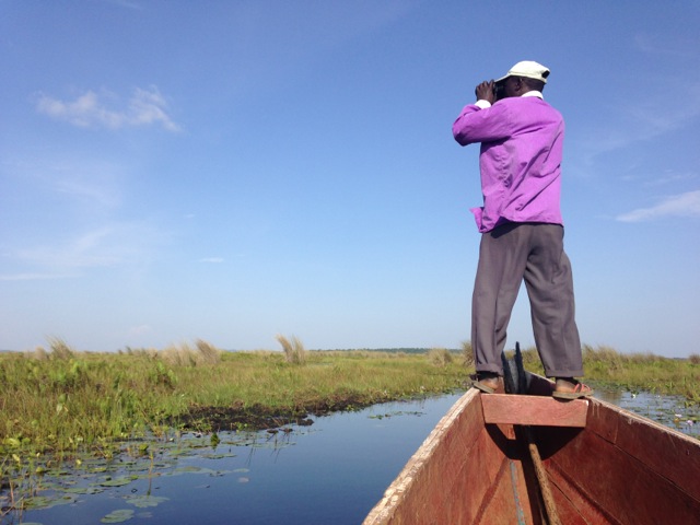 Mabamba Swamp Wetlands, Uganda