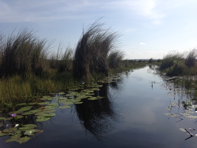 Mabamba Swamp Wetlands, Uganda