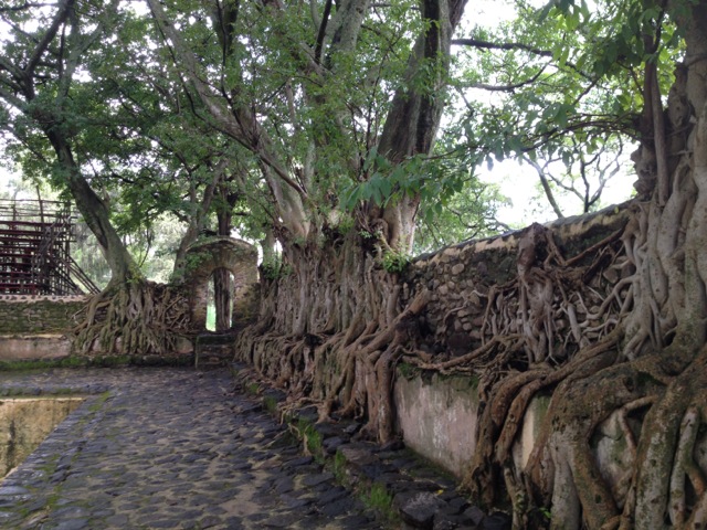 Fasilides' Bath, Gondar, Ethiopia