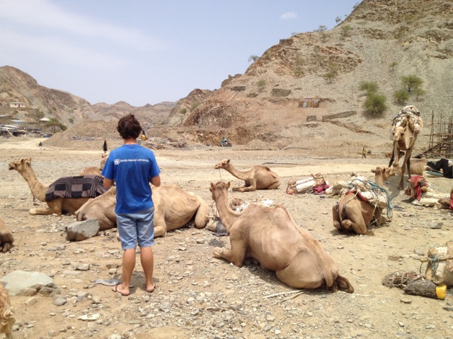 Camel Market, Hamed Ela, Danakil Depression, Ethiopia | www.nonbillablehours.com